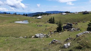 Slovénie - Vlalika planina