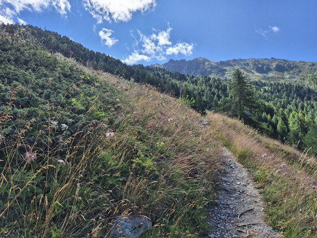 Sur les traces de Sierre-Zinal et un bel EXTRA 🤩