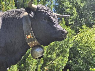Sur les traces de Sierre-Zinal et un bel EXTRA 🤩
