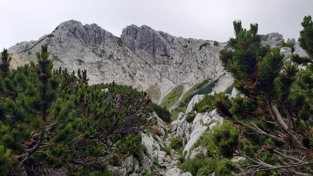 Slovénie - Visevnik