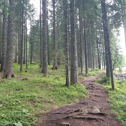Slovénie - Visevnik