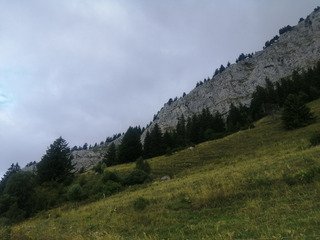 Le Clair-Obscur
