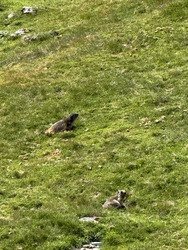 Ilhéou par les crêtes du Lys