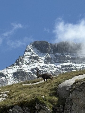 Dépaysement au refuge du col de la Vanoise! 