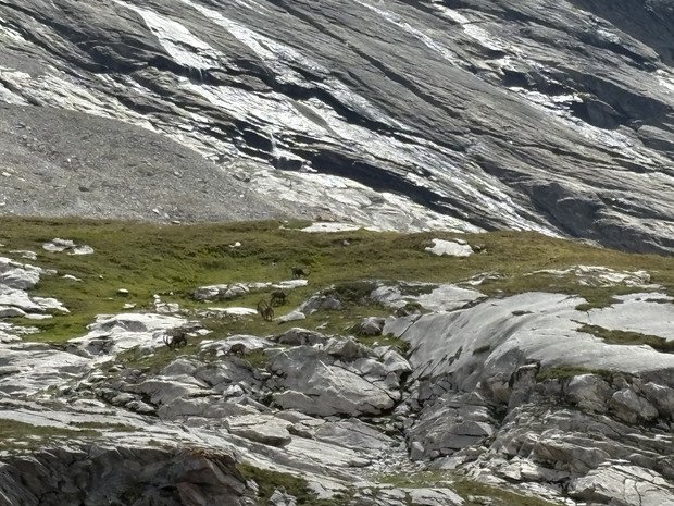 Dépaysement au refuge du col de la Vanoise! 