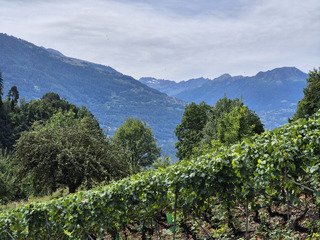 Bisse de Lentinne