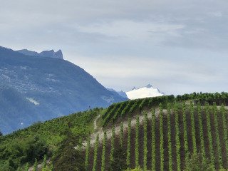 Bisse de Lentinne