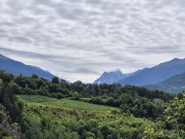 Bisse de Lentinne