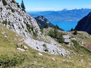 Tricotage entre France et Suisse 