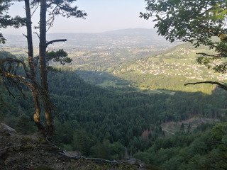 Quiétude et nervosité