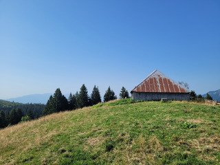 Les bauges, un refuge contre la canicule ?