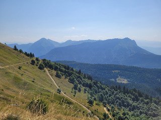 Les bauges, un refuge contre la canicule ?