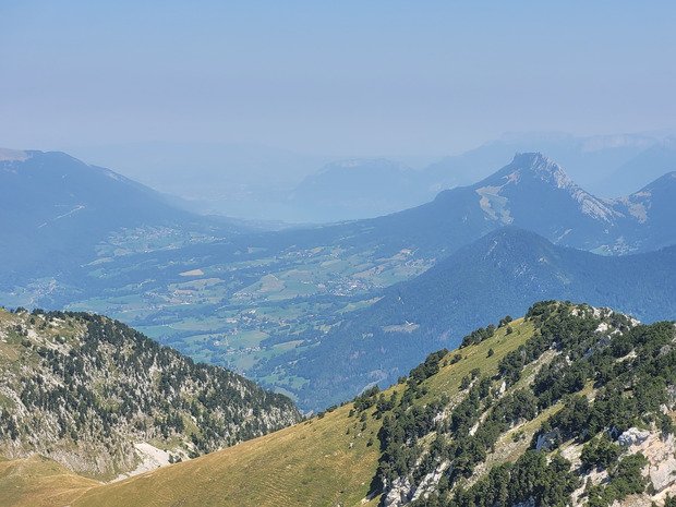 Les bauges, un refuge contre la canicule ?