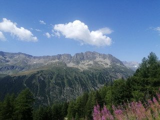 Ultra montée - ultra éclaté