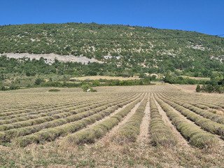 Autour du geant de Provence 