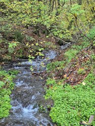 Luxembourg en automne