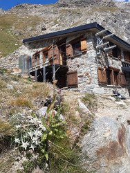 Dent d'Herens