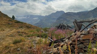 Bloqués au paradis 