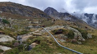 Bloqués au paradis 