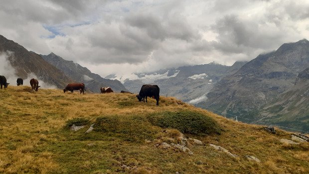 Bloqués au paradis 