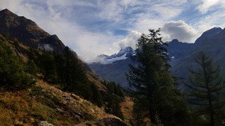 Petite dernière avant le créneau d'ouverture 