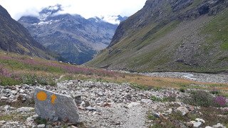 Petite dernière avant le créneau d'ouverture 