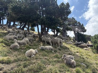 Au frais à Chamechaude!