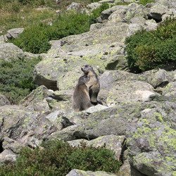 Lötschental, les plaies silencieuses