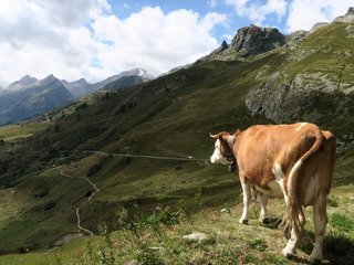 Lötschental, les plaies silencieuses