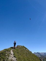Vue sur La Plagne - Mont Jovet et crête des Étroits