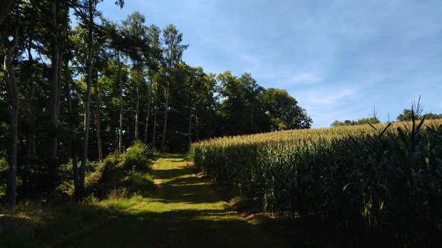 Les p'tites Berg du plateau