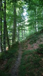 Les p'tites Berg du plateau