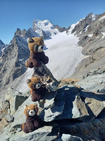 Pic du glacier d'Arsine (3364)