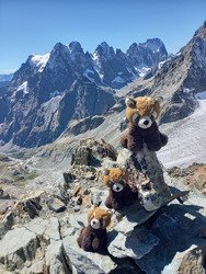 Pic du glacier d'Arsine (3364)