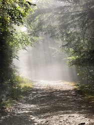 Bivouac au plus proche de la Tempête
