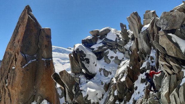 Cosmiques au top
