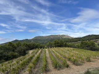 Sentiers escarpés, vignes et chapelle !