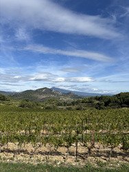 Sentiers escarpés, vignes et chapelle !