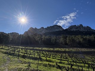 Mon jardin, m&rsquo;&eacute;merveillera toujours autant&hellip;