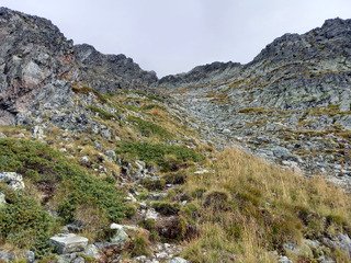Grun de St Maurice 