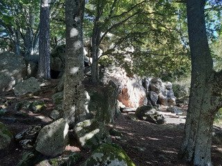 Trail salèvien