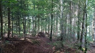 C'est parti pour l'automne 