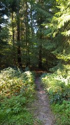 C'est parti pour l'automne 