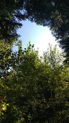 C'est parti pour l'automne 