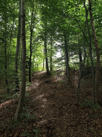 Avant la pluie