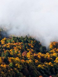 Au dessus des nuages