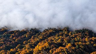 Au dessus des nuages