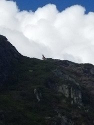 Repérage au Clot de C...... ⛷️❤️