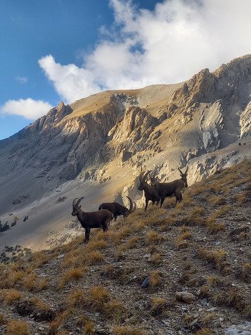 👑 Font Sancte : la Reine du Queyras 👑