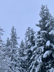 Premières neiges en Vanoise - Balade au Mont Bochor
